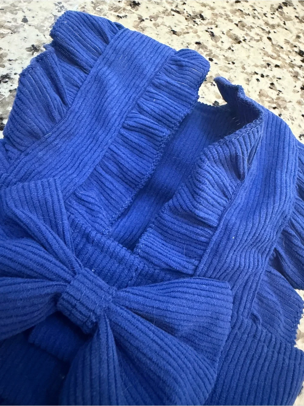 Blue Ruffle Bow Pet Dress with Matching Hair Bow
